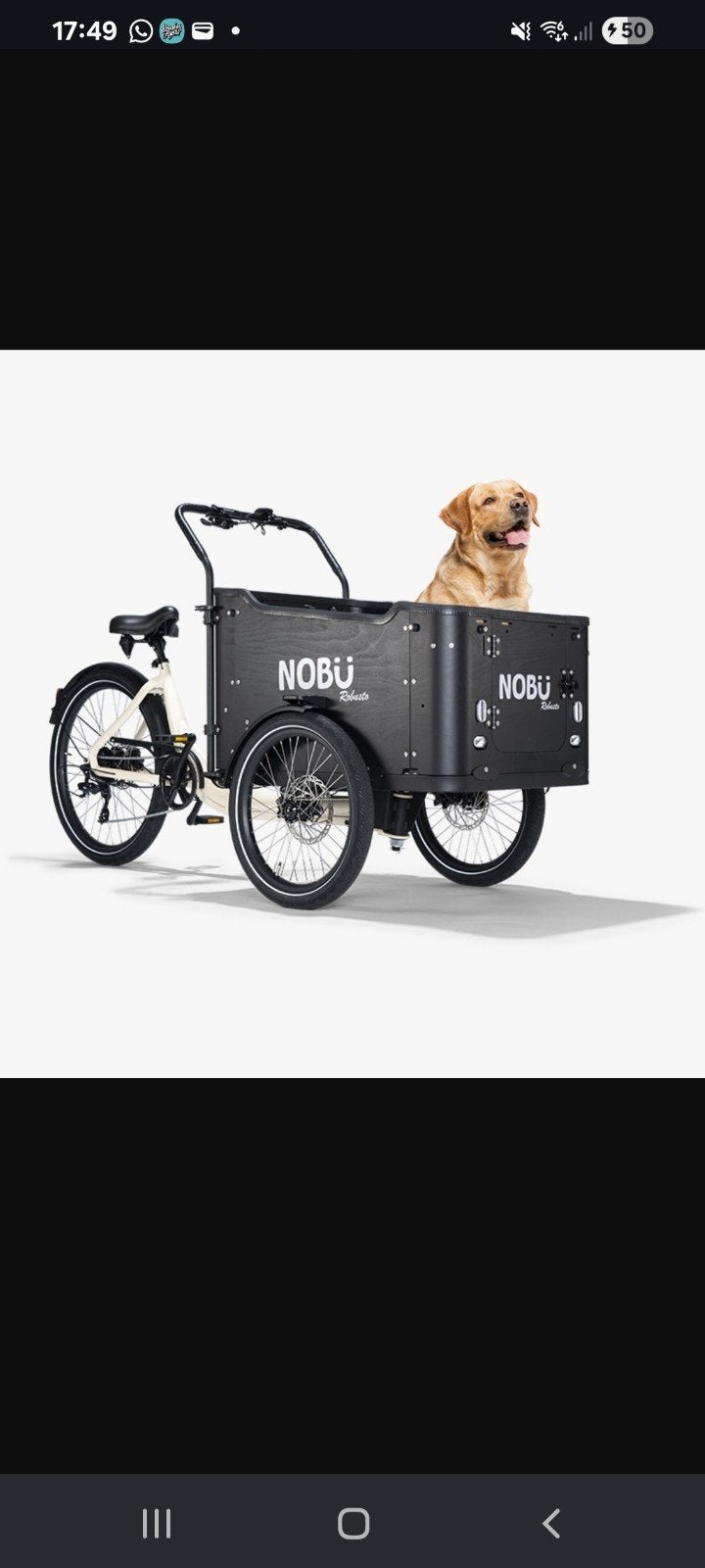 GEZOCHT GEZOCHT BAKFIETS GEZOCHT GEZOCHT, Fietsen en Brommers, Fietsen | Bakfietsen, Ophalen, Goederen