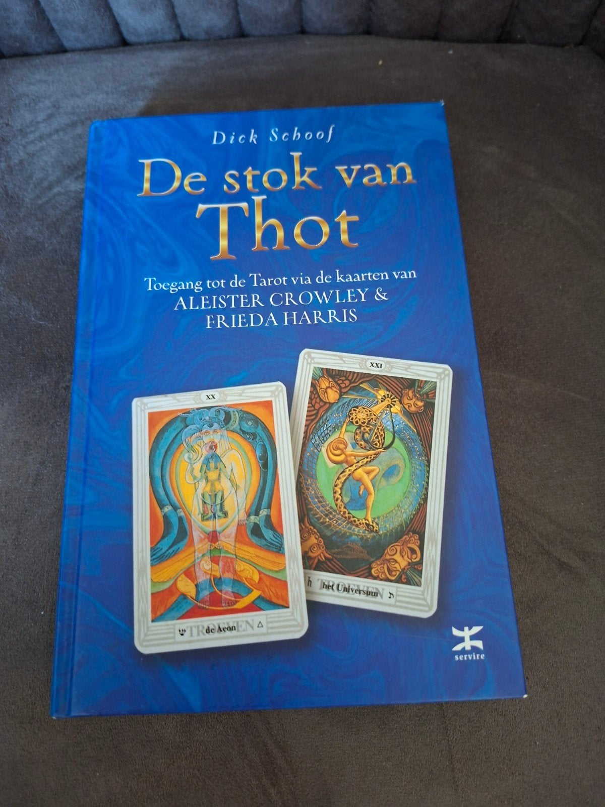 De stok van Thot - Toegang tot de Tarot, Boeken, Tarot of Kaarten leggen, Ophalen of Verzenden, Zo goed als nieuw, Dick Schoof