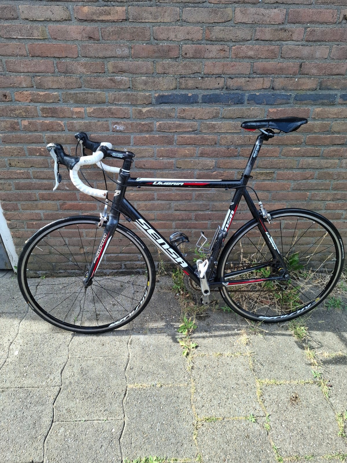 Sensa Umbria racefiets - XL (60cm) - Shimano Tiagra, Ophalen