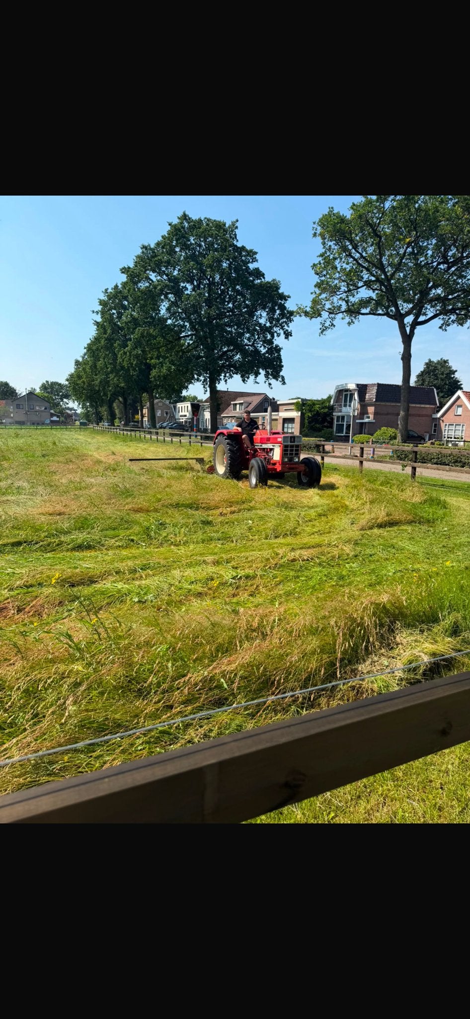Midi balen te koop / droog hooi, Ophalen of Verzenden, Vee