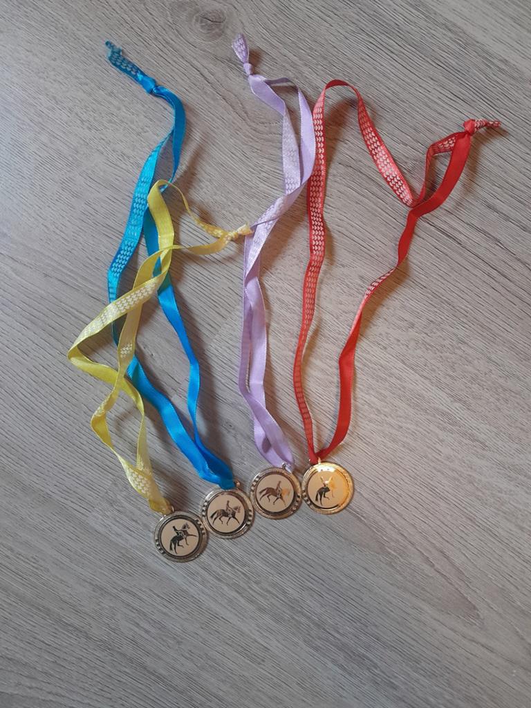 Paardenspullen kind: kleding, spellen, boeken, magazines, Ophalen of Verzenden, Zo goed als nieuw, Overige soorten