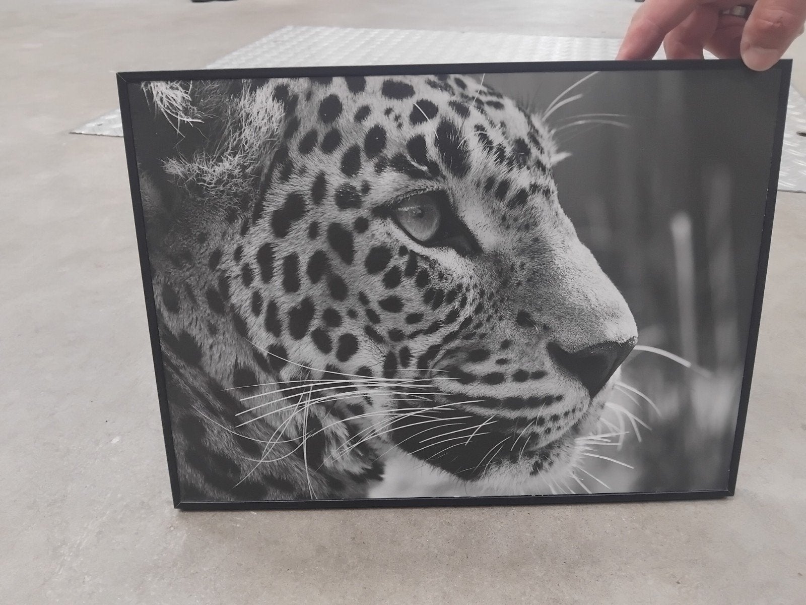 schilderij  panter, Huis en Inrichting, Ophalen, Zo goed als nieuw, Schilderij