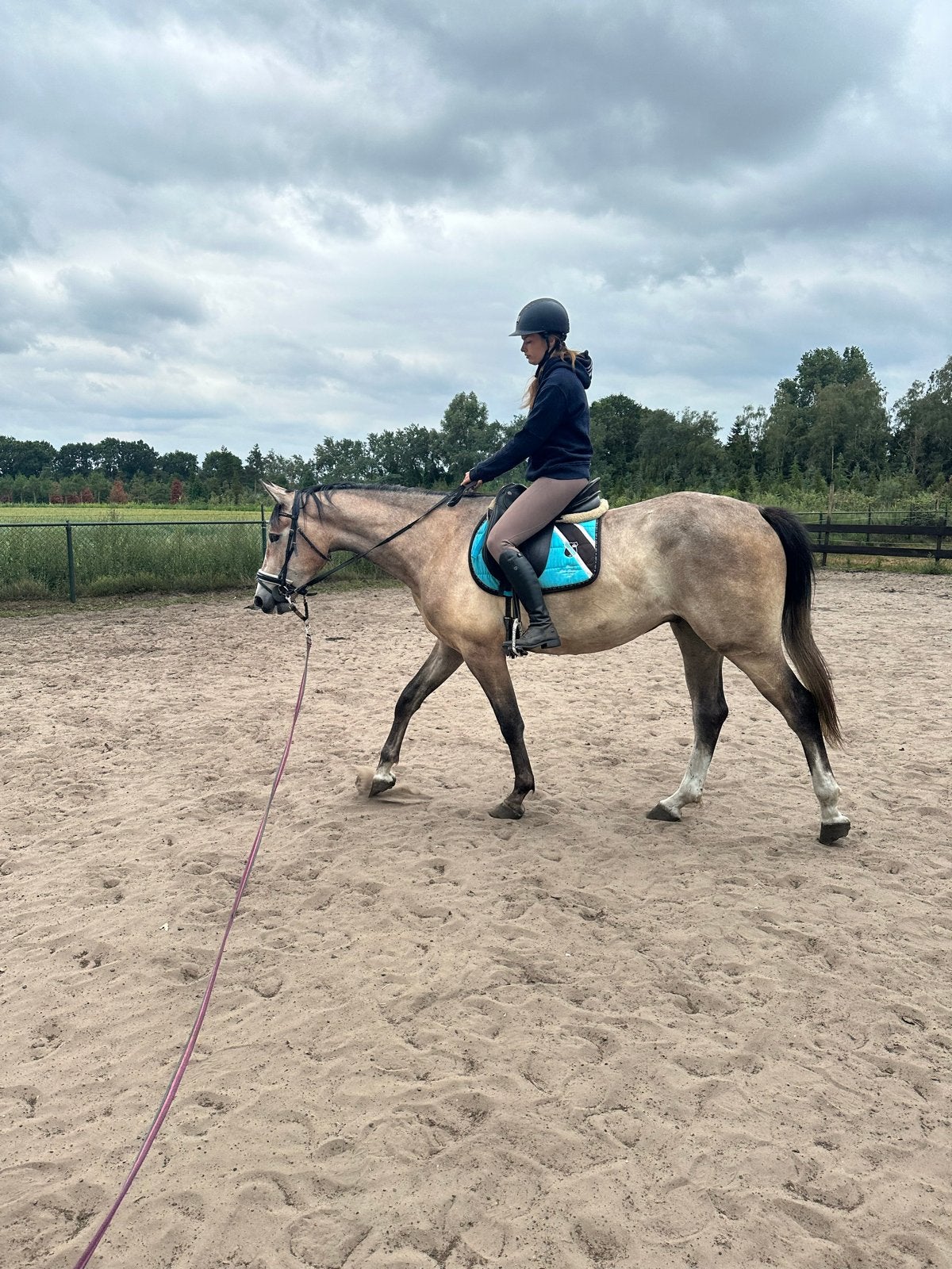 Verzorgers ponys en paarden gezocht, Ophalen of Verzenden, Nieuw