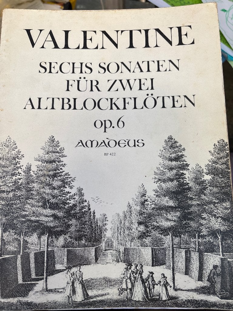 Blokfluit bladmuziek, Gebruikt, Klassiek, Ophalen of Verzenden, Blokfluit