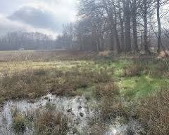 Gezocht: Bosgrond, natuurgrond of cultuurgrond.