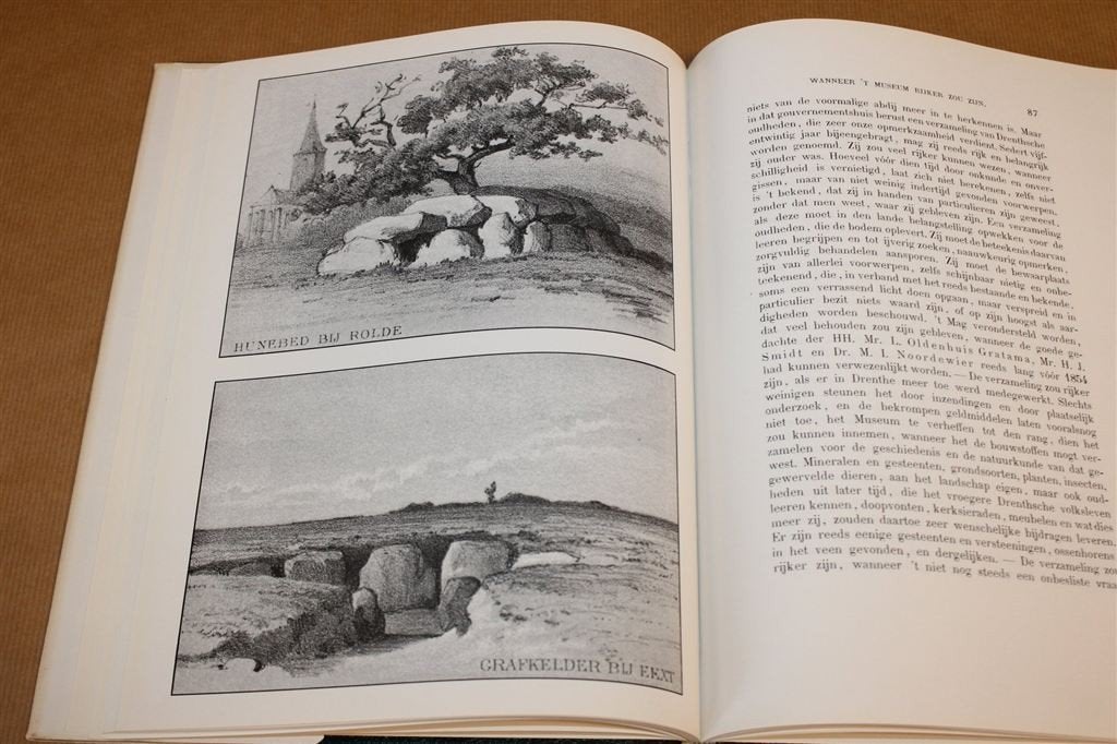 Wandelingen door Groningen & Drenthe 1879-1880, Boeken, Ophalen of Verzenden, Gelezen