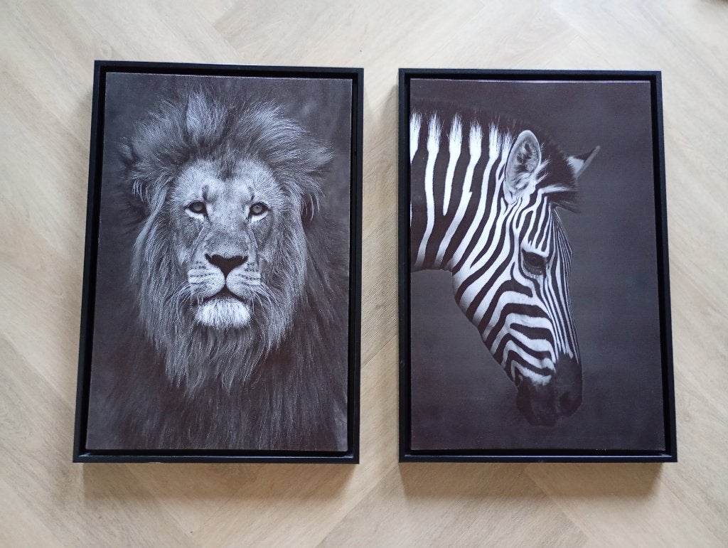 Canvas, Huis en Inrichting, Woonaccessoires | Schilderijen, Tekeningen en Foto's, Ophalen, 50 – 75, Minder dan 50 cm, Zo goed als nieuw