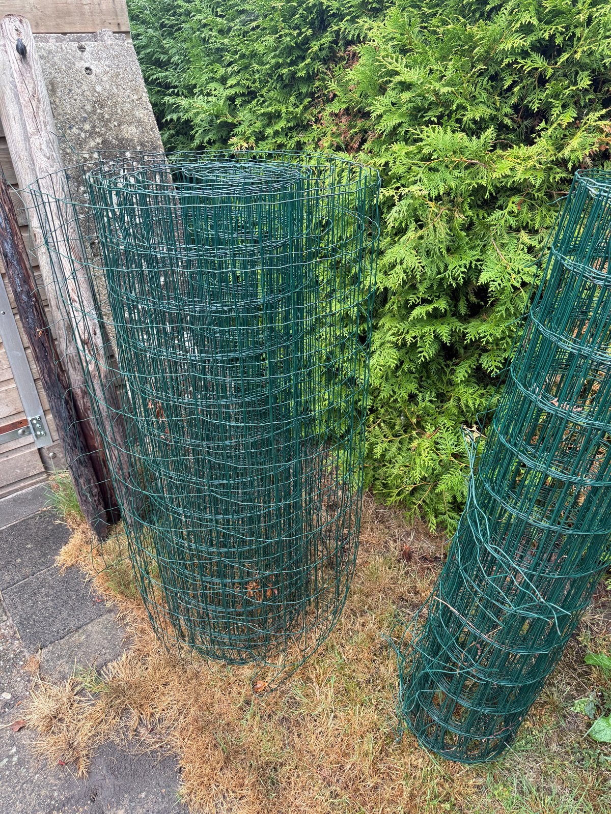 Gaashekwerk met palen - Groen, gebruikt +\- 20meter, Ophalen, Gebruikt, IJzer, Gaashekwerk