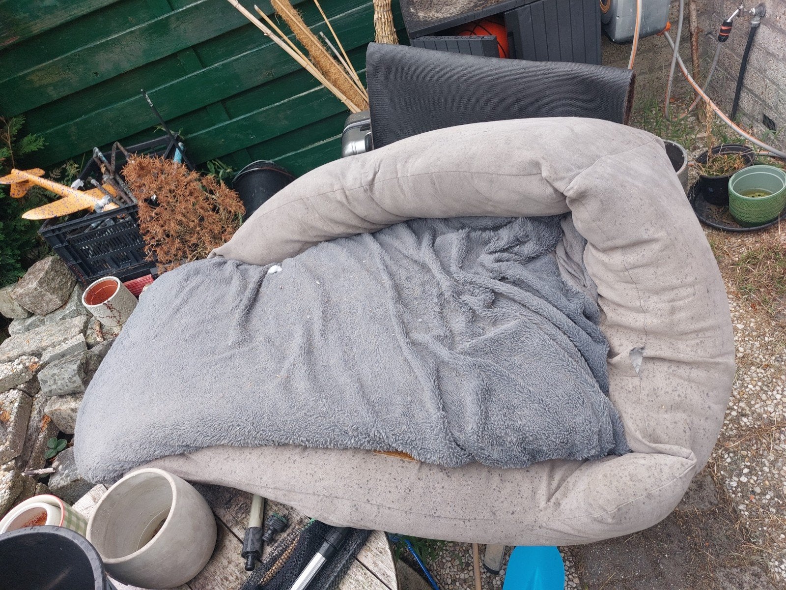 gratis vieze grote hondenmand, Ophalen, Gebruikt, Overige