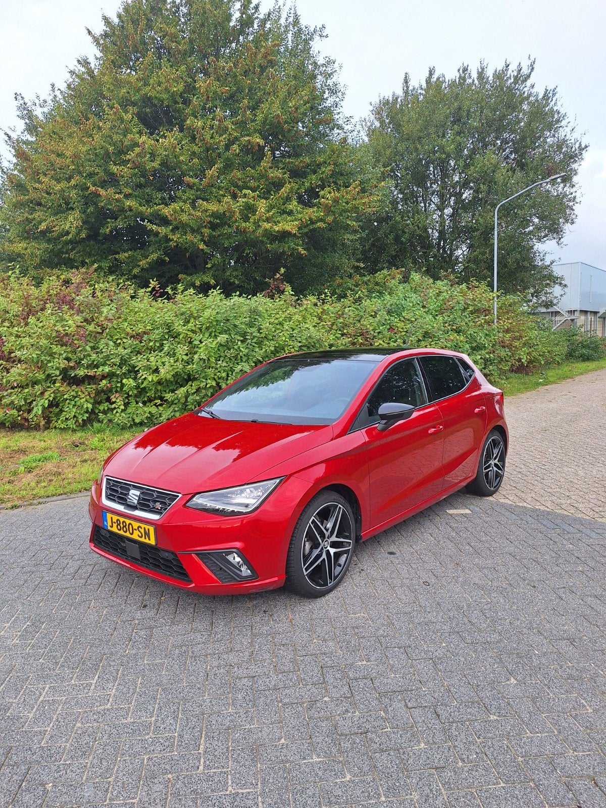 Seat Ibiza 1.0 Ecotsi 115pk 2020 Rood, Auto's, Voorwielaandrijving, 40 €/maand, Ibiza, Origineel Nederlands
