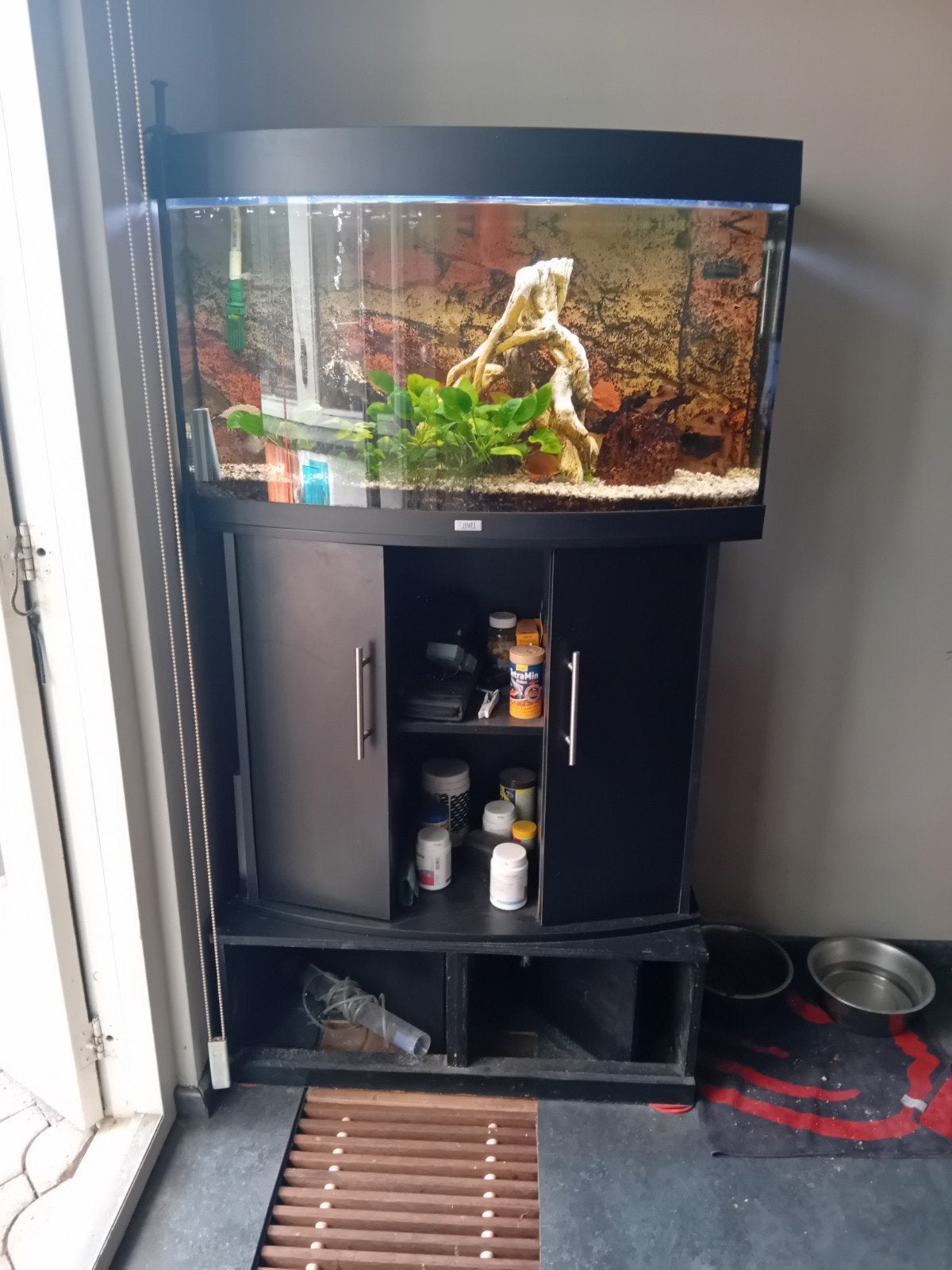 aquarium te koop helemaal compleet Jewel 240, Dieren en Toebehoren, Ophalen, Zo goed als nieuw, Gevuld zoetwateraquarium, Juwel