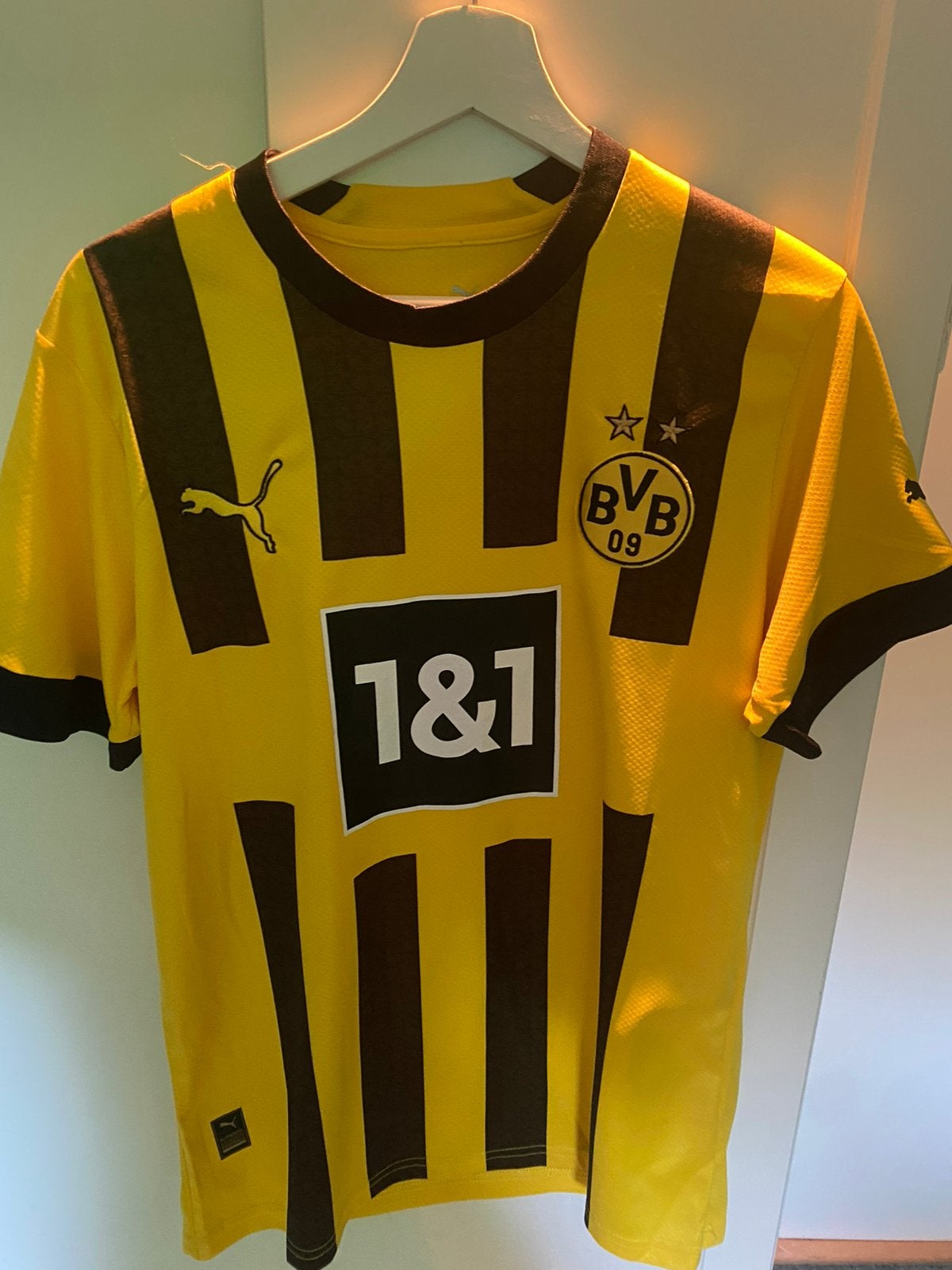 Puma BVB Borussia Dortmund voetbalshirt 2022/2023, Maat M, Ophalen of Verzenden, Zo goed als nieuw, Shirt