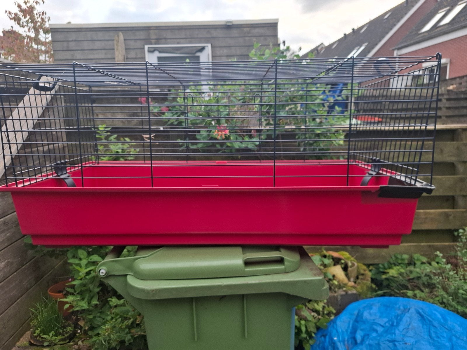 cavia/konijnenkooi, Dieren en Toebehoren, Ophalen, Gebruikt, Cavia
