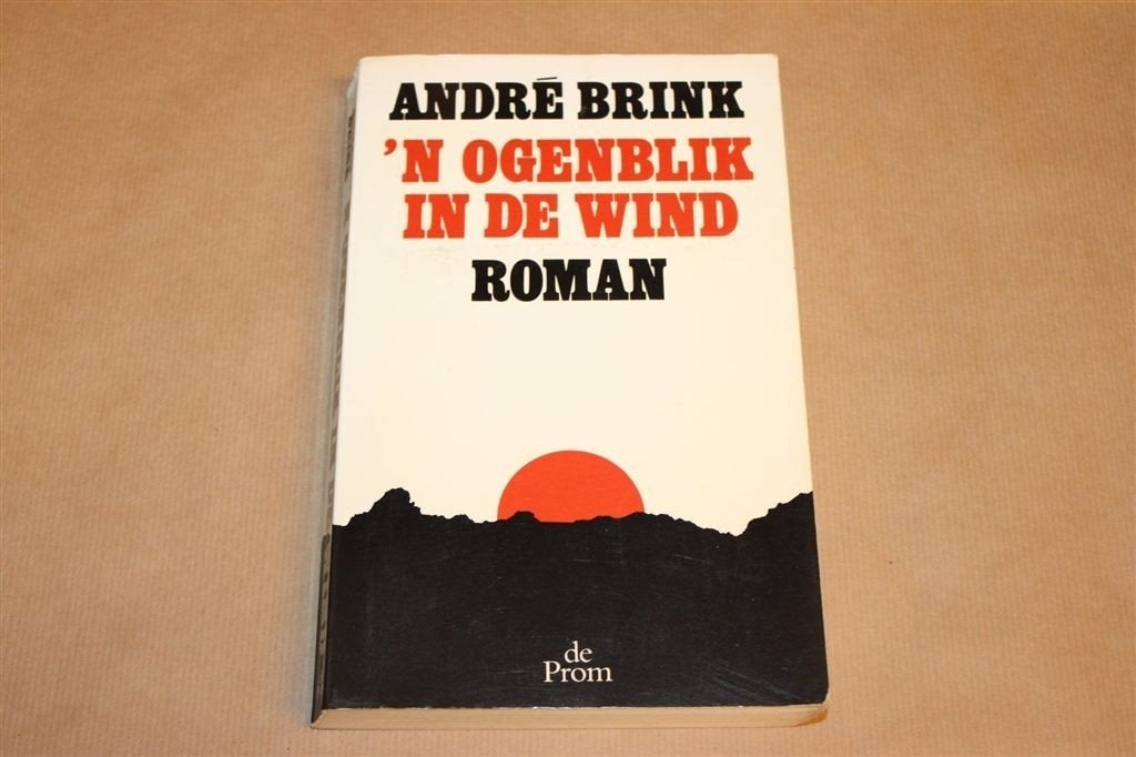 \'n Ogenblik in de Wind — André Brink, In den Toren 1993, Boeken, Literatuur, Ophalen of Verzenden, Gelezen