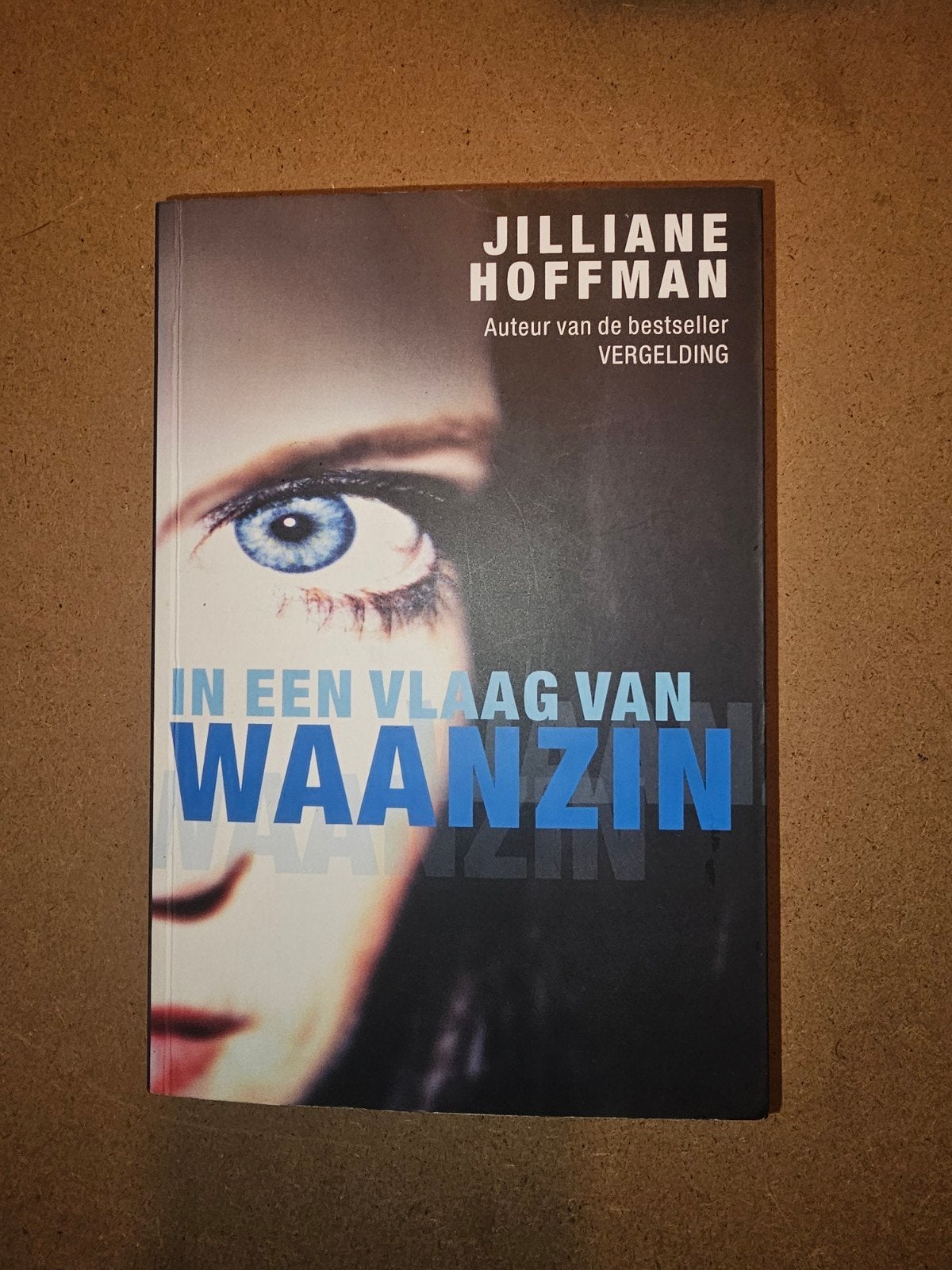 Jillian Hoffman - In een vlaag van waanzin, Ophalen of Verzenden, Zo goed als nieuw, Jillian Hoffman, Nederland