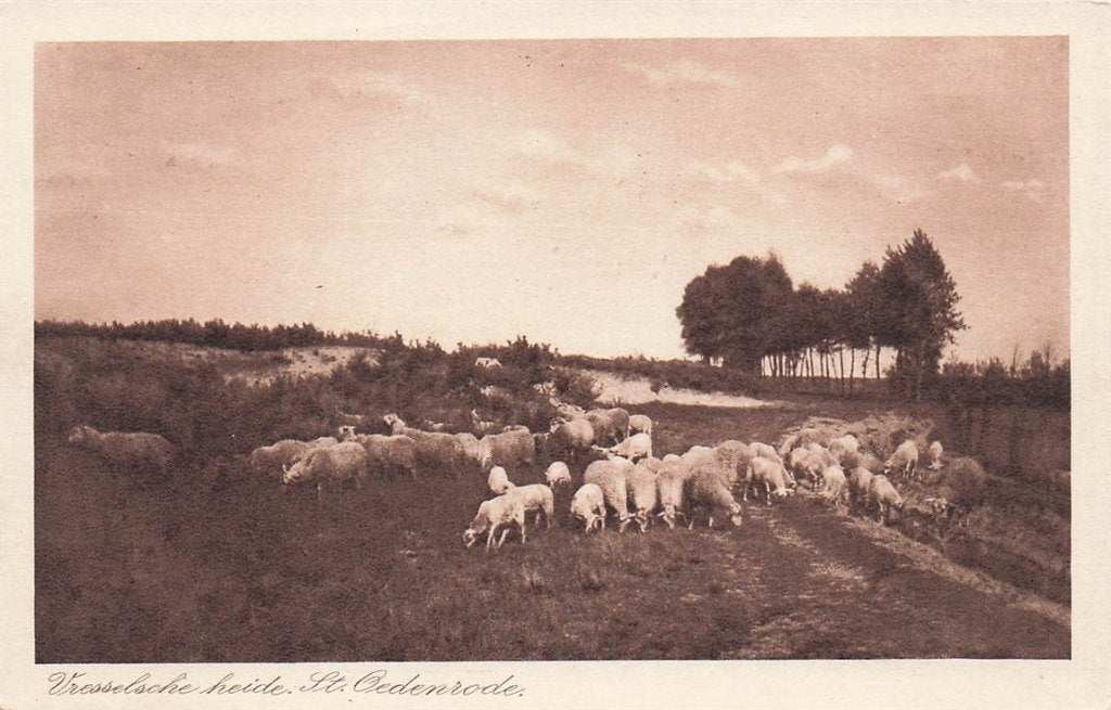 702-182-029 St Oedenrode, Verzenden, Voor 1920, Noord-Brabant