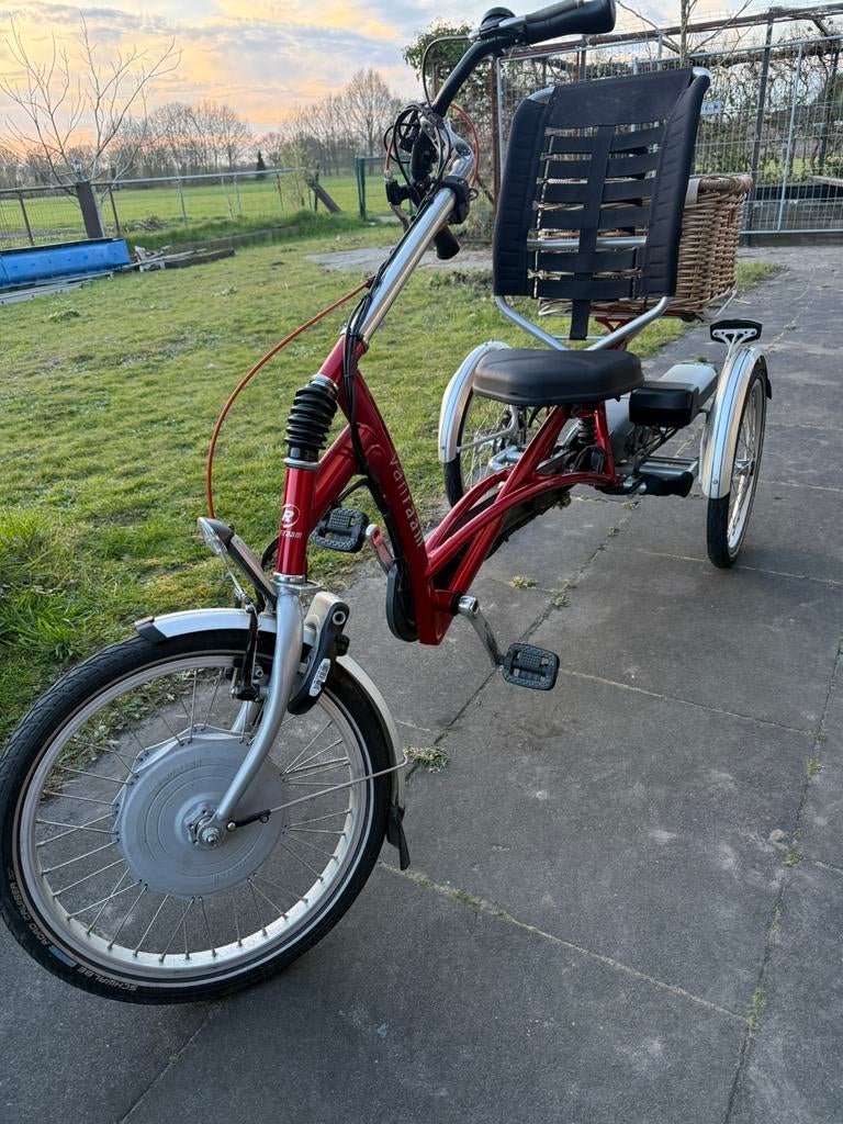 Easy rider driewieler van raam met ondersteuning, Fietsen en Brommers, Fietsen | Driewielfietsen, Ophalen, Zo goed als nieuw