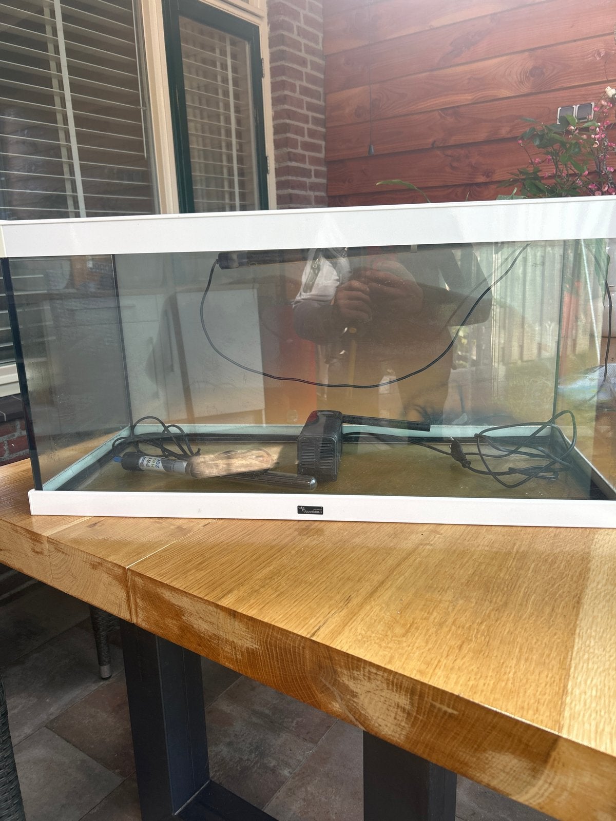 Aqualantis, Dieren en Toebehoren, Ophalen