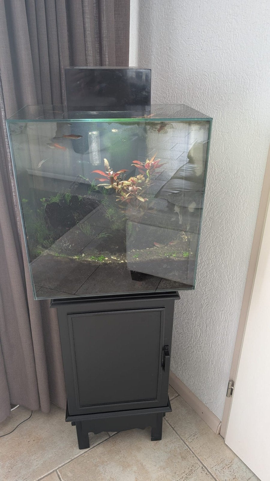 aquarium incl. vissen, Ophalen, Pomp, Fluval, Gevuld zoetwateraquarium