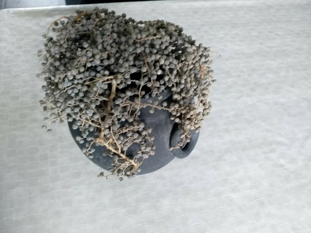 Vaas, Ophalen of Verzenden, Zo goed als nieuw, Overige kleuren, Minder dan 50 cm