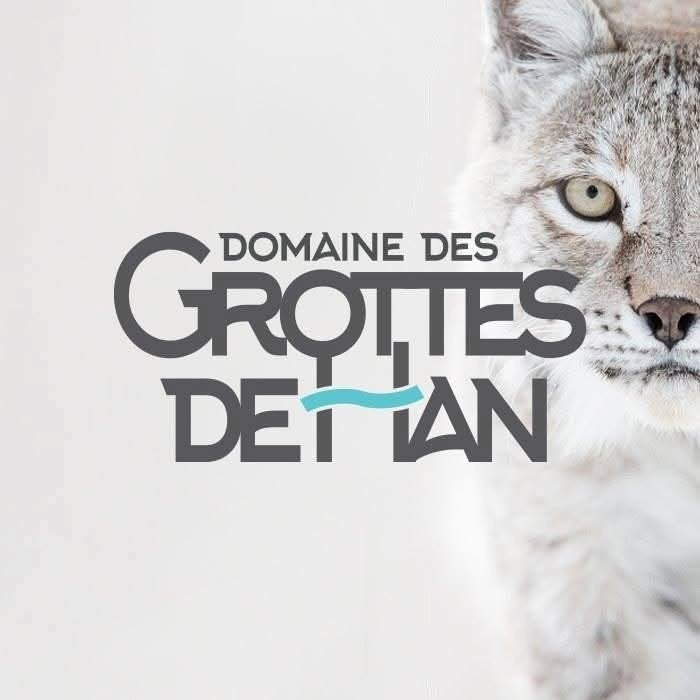 Grotten van Han 2e kaartje GRATIS, Tickets en Kaartjes, Recreatie | Dierentuinen, Drie personen of meer, Kortingskaart