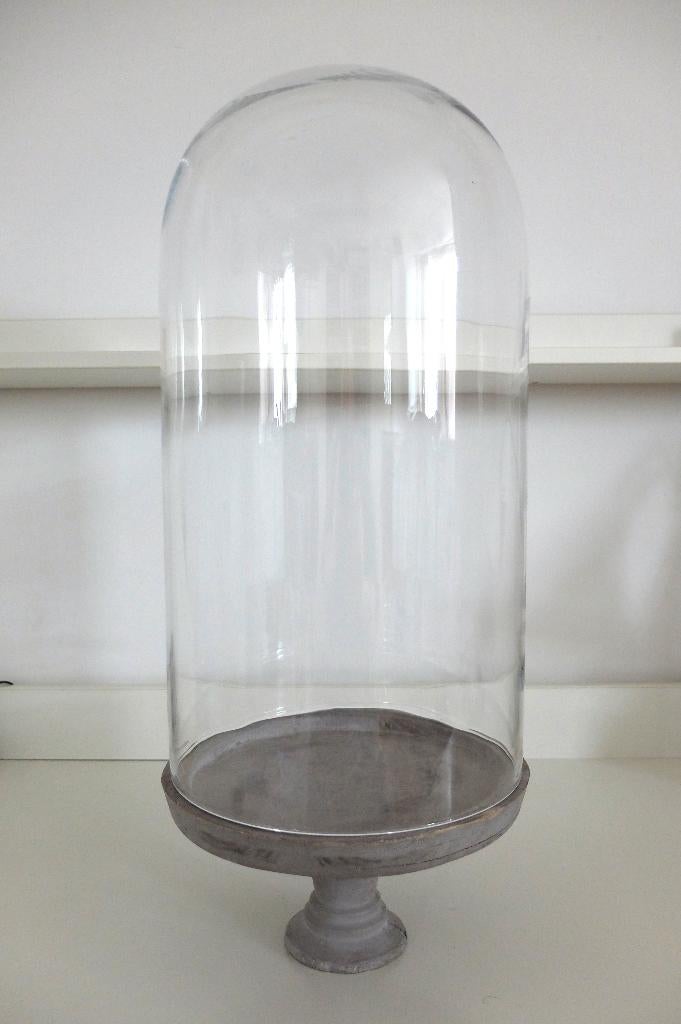 Prachtige Grote Glazen Stolp op houten voet, 45 cm hoog, Ophalen, Gebruikt, Onbekend, Onbekend