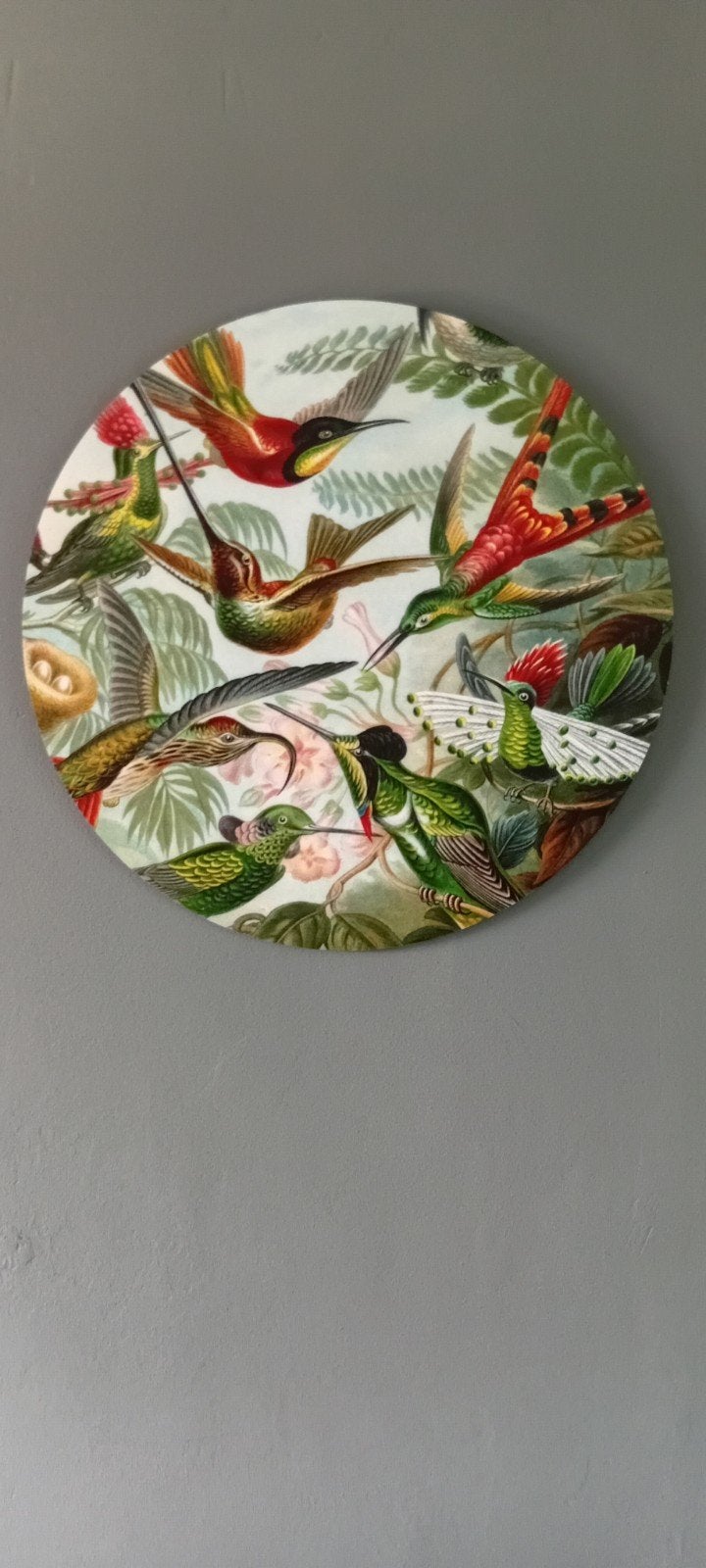 Muur decoratie rond vogels, Ophalen, Groen, 60 cm, Zo goed als nieuw