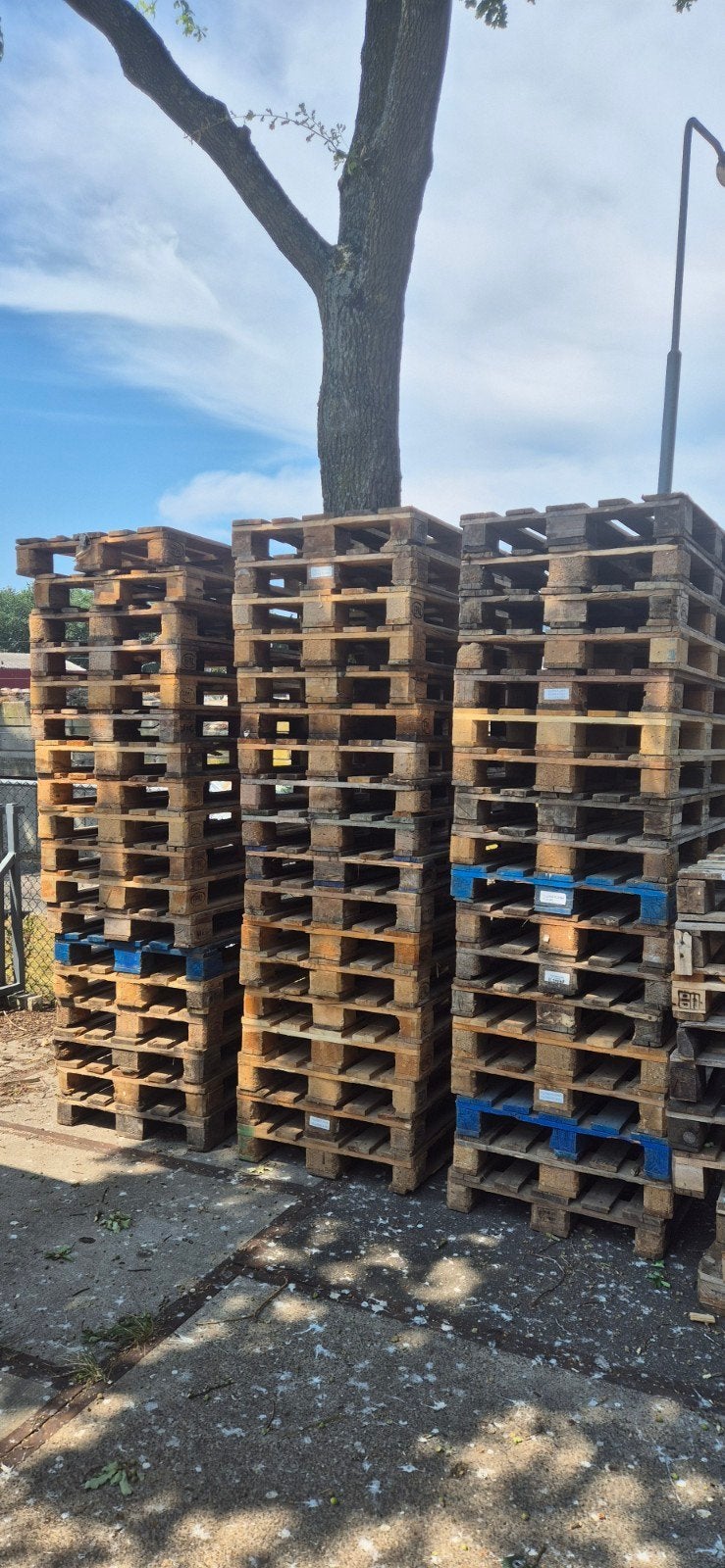 Euro pallets. 120 x 80 cm, Doe-het-zelf en Verbouw, Hout en Planken, Ophalen, 50 mm of meer, Pallet, Minder dan 200 cm