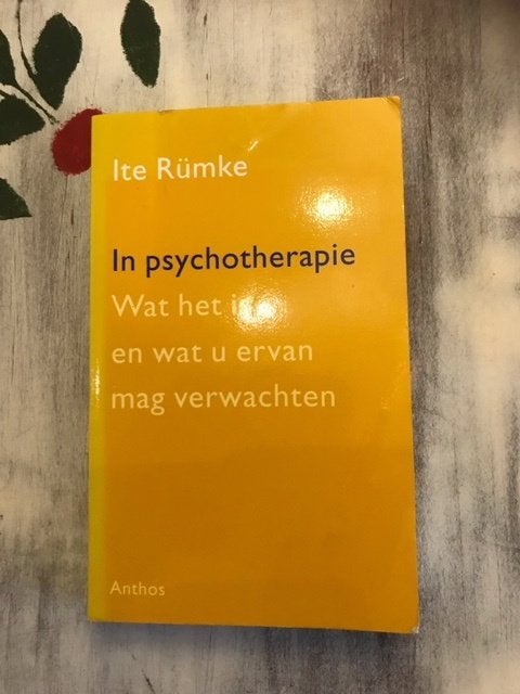 In Psychotherapie, Ophalen of Verzenden, Beta, Zo goed als nieuw, HBO