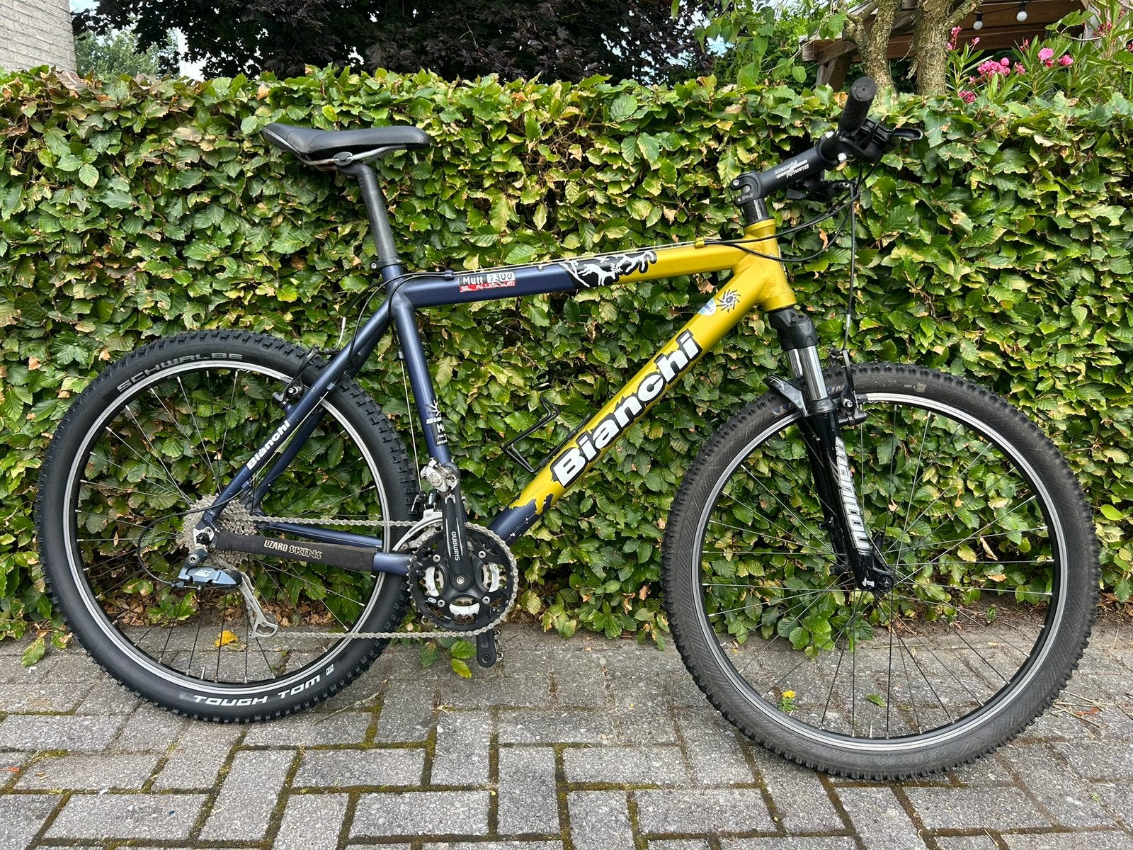 Bianchi Mutt 7300 MTB, Fietsen en Brommers, Fietsen | Mountainbikes en ATB, Gebruikt, 57 cm of meer, Hardtail, Ophalen