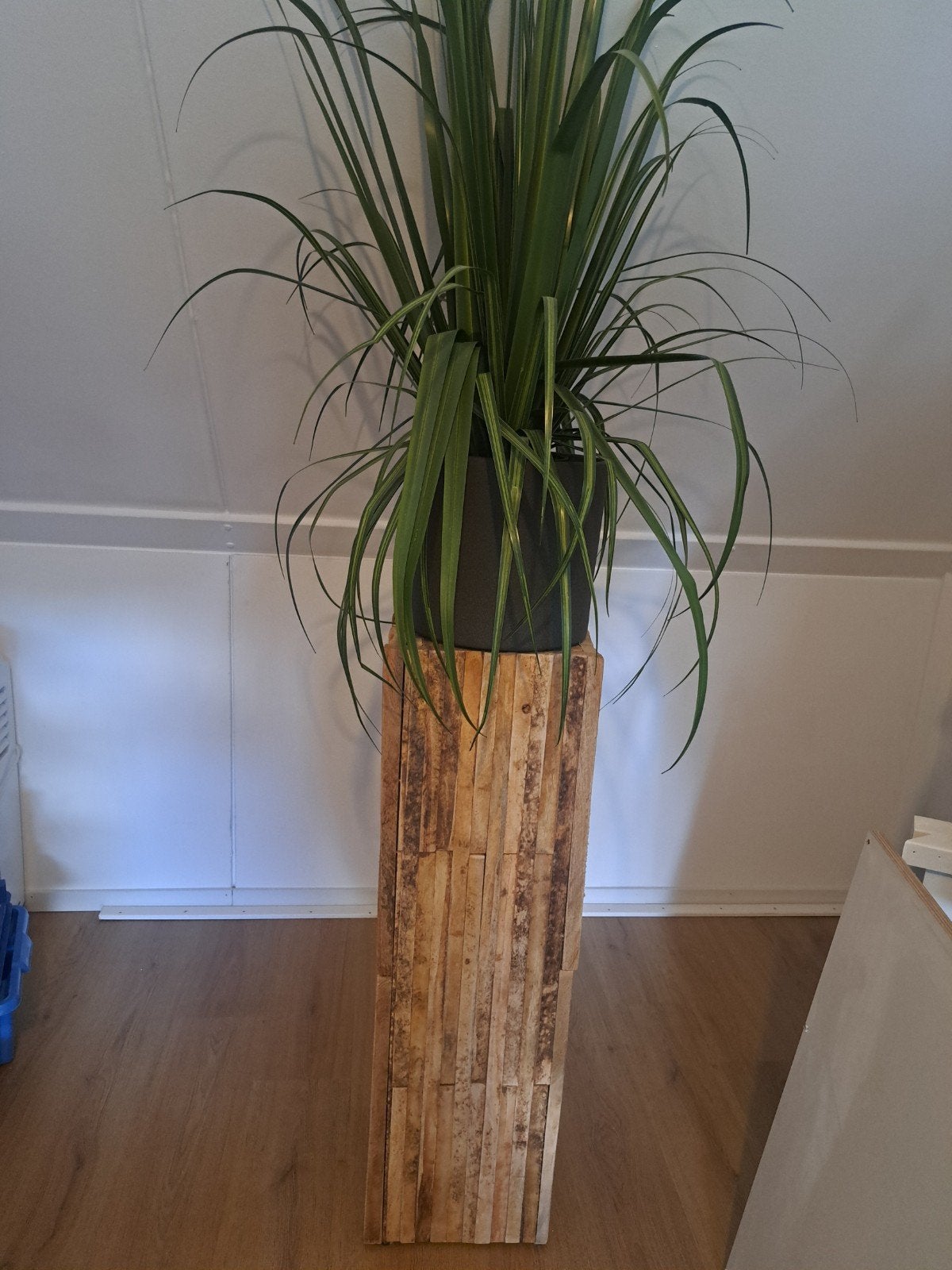 Grote Dracaena plant met houten sokkel, Ophalen, Zo goed als nieuw