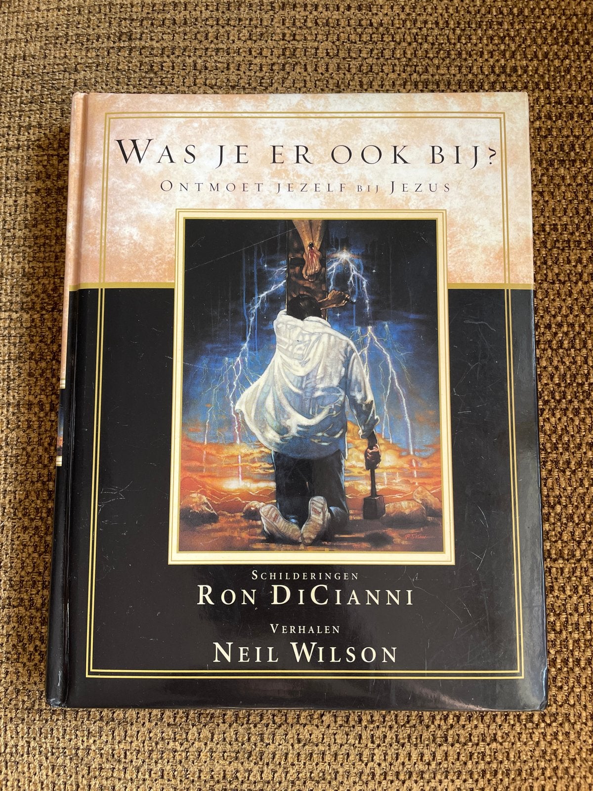R. DiCianni - Was je er ook bij?, Boeken, Gelezen, Christendom | Protestants, Ophalen of Verzenden, R. DiCianni; N. Wilson