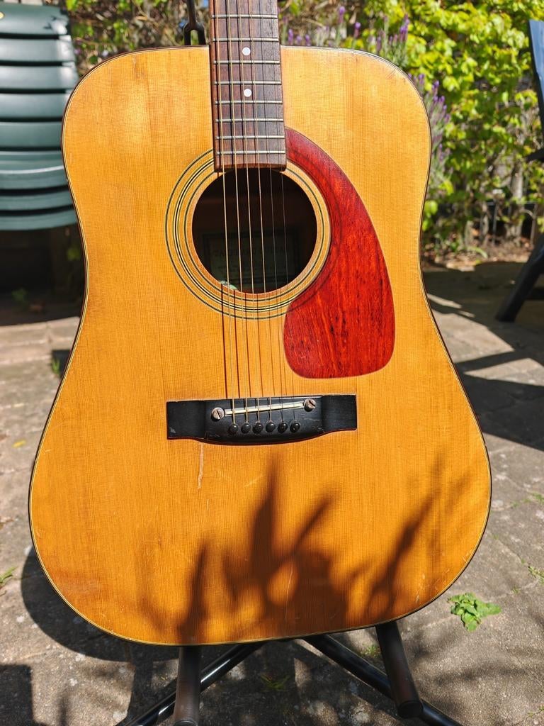 Takeharu WK100, Muziek en Instrumenten, Snaarinstrumenten | Gitaren | Akoestisch, Ophalen of Verzenden, Gebruikt, Western- of Steelstringgitaar