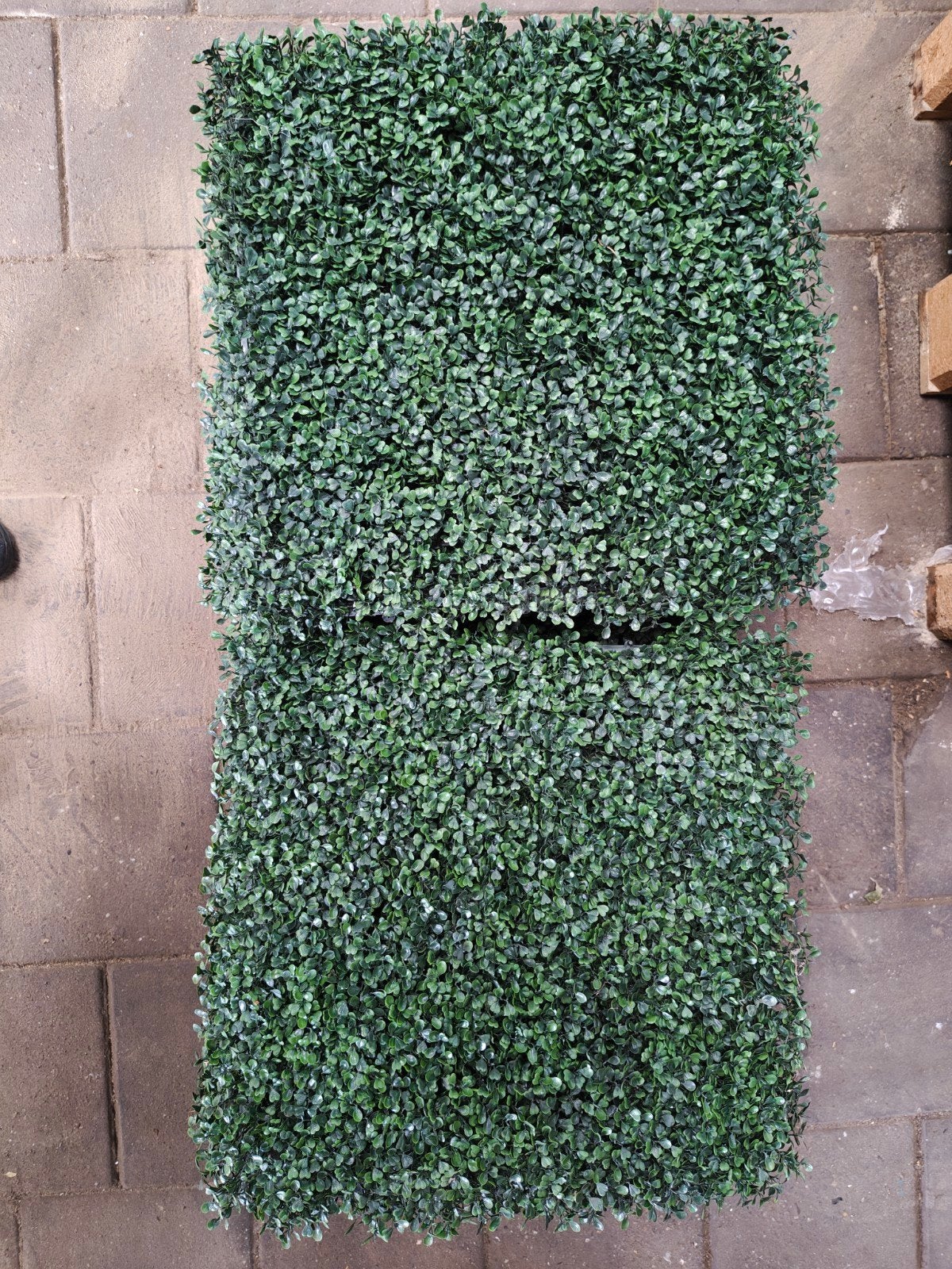 Kunsthaag Buxus, Tuin en Terras, Ophalen, Buxus, Minder dan 100 cm