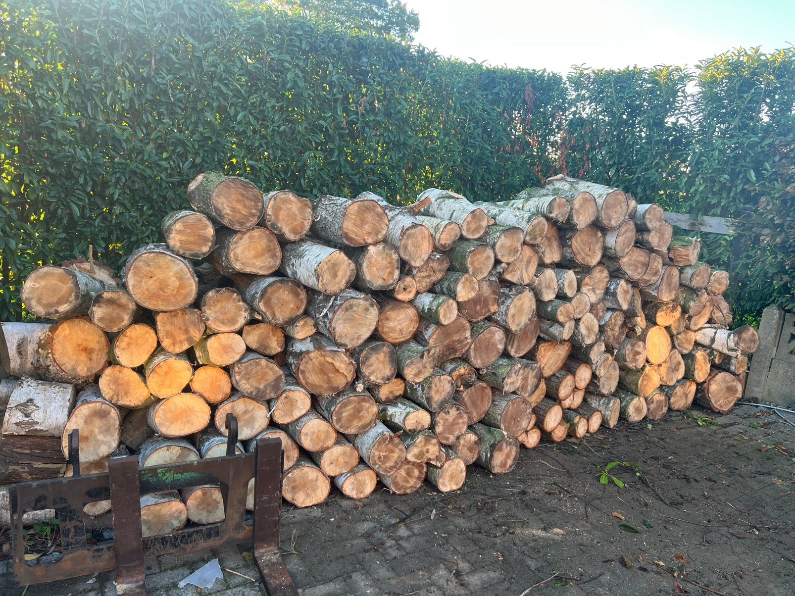 Berkenhout 50cm lang, 12 kuub van 7 gekapte bomen, 6 m³ of meer, Ophalen of Verzenden, Berkenhout, Blokken