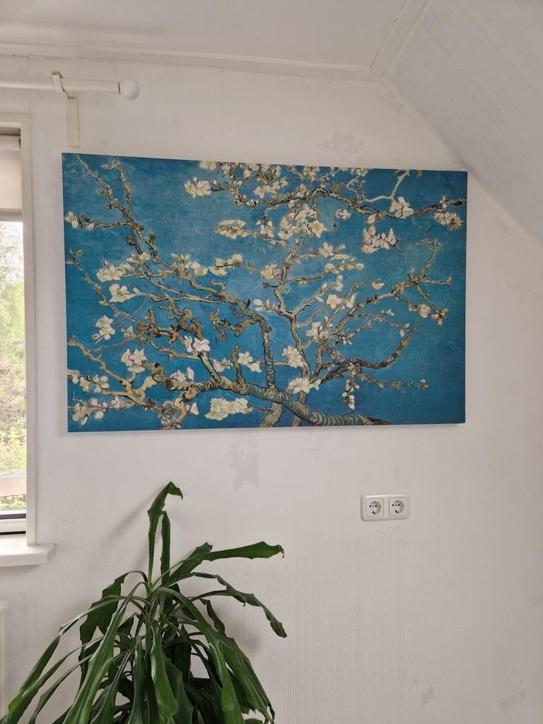 Groot cavas schilderij van Van Gogh Amandelbloesem, Ophalen, Gebruikt, 50 tot 75 cm, Print