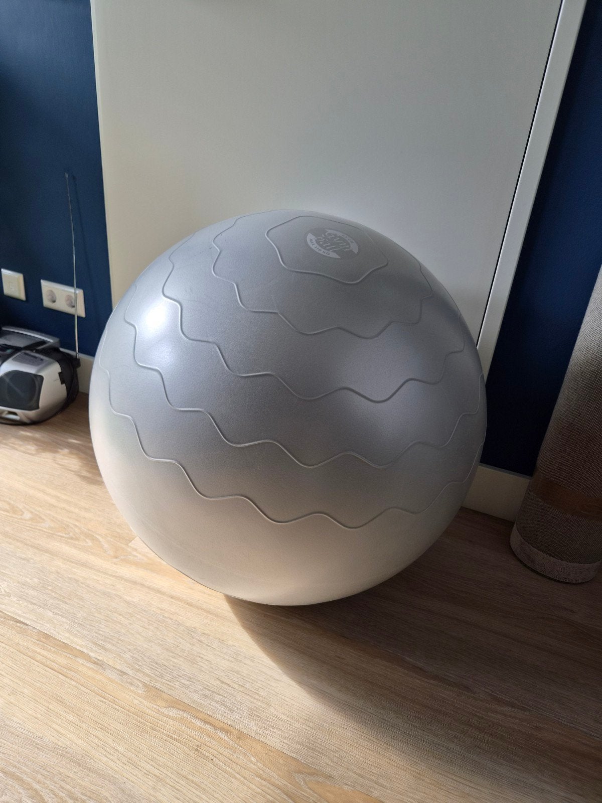 Sportbal / Yogabal 65 cm - ideaal voor zwangerschap, Ophalen
