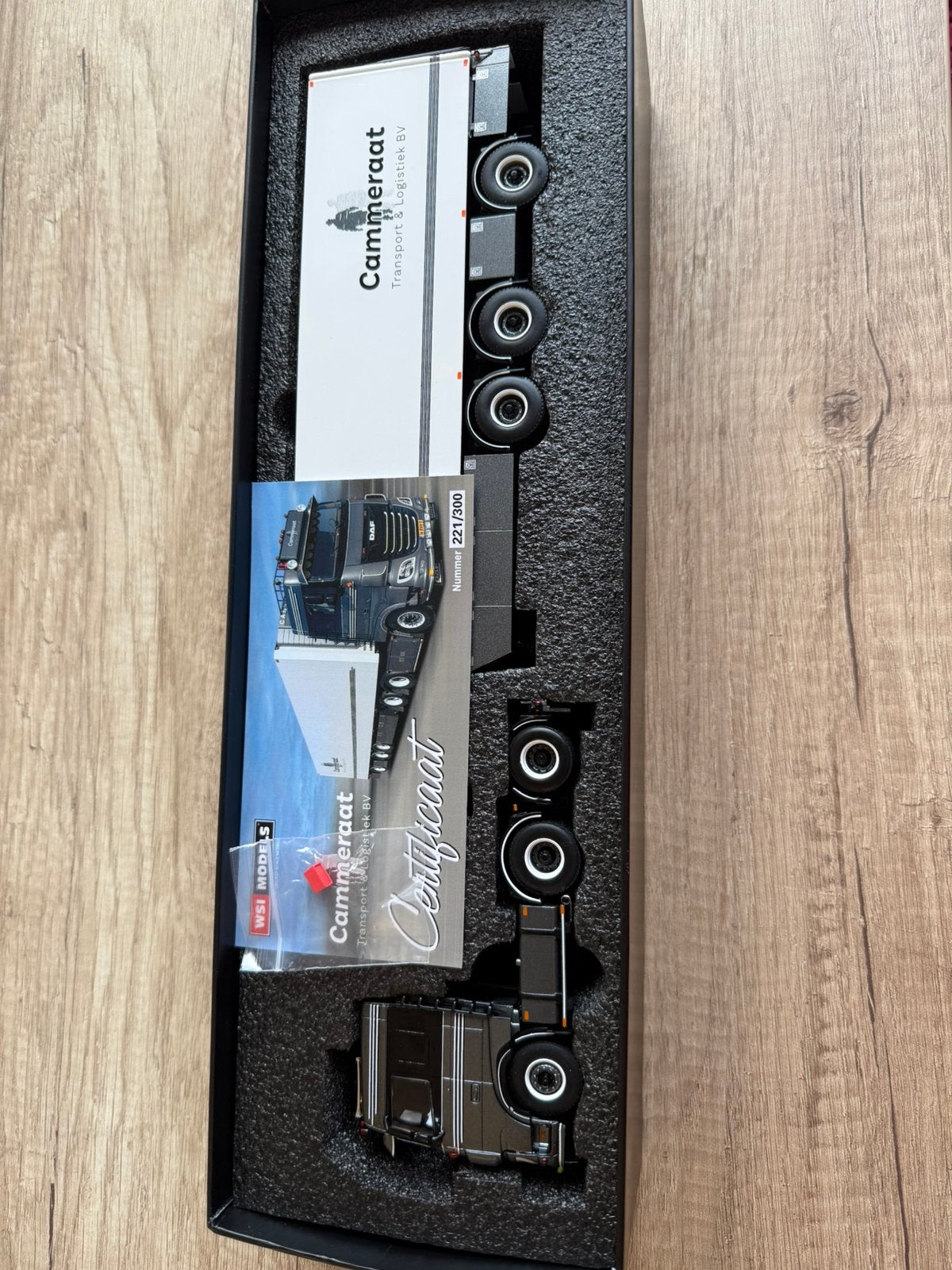 Wsi Daf Cammeraat     Nieuw, Ophalen of Verzenden, Nieuw, Bus of Vrachtwagen, Wsi