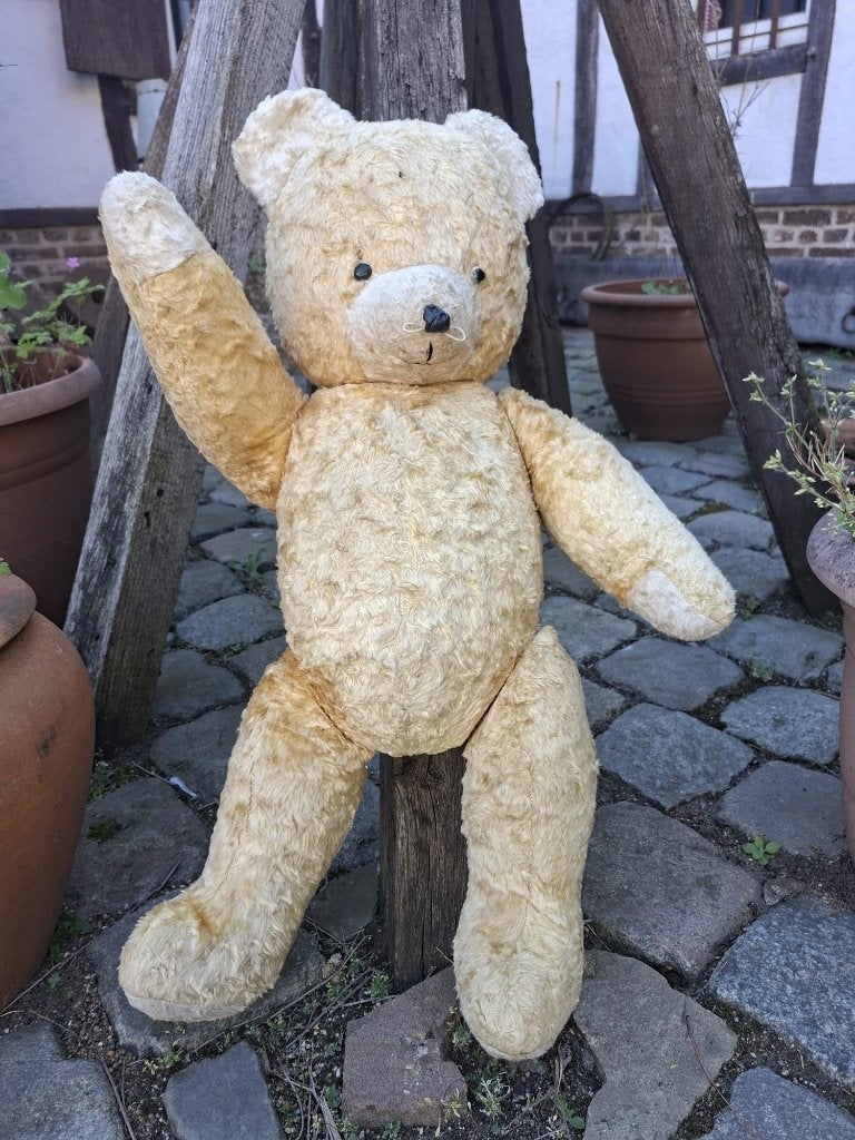 oude grote beer, begin 1900, Antiek en Kunst, Curiosa en Brocante, Ophalen of Verzenden