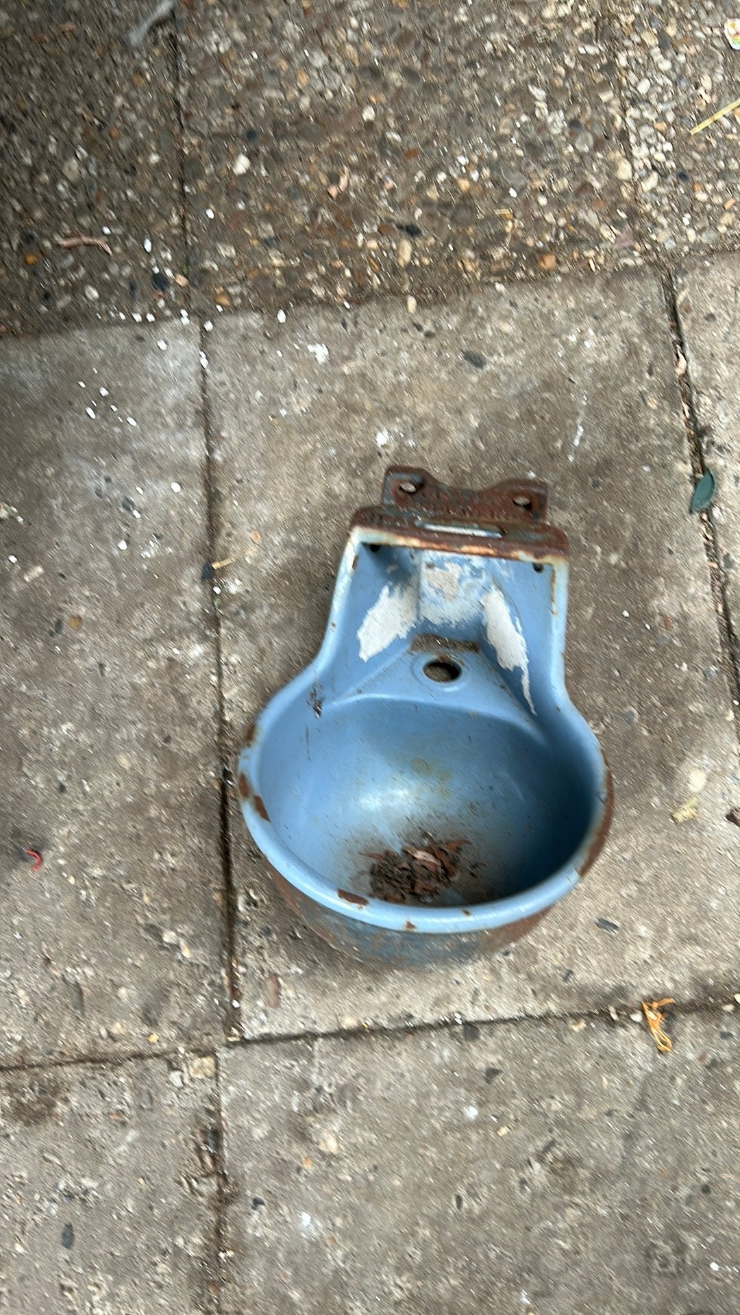 Drink bak koeien geschikt als plantenbak