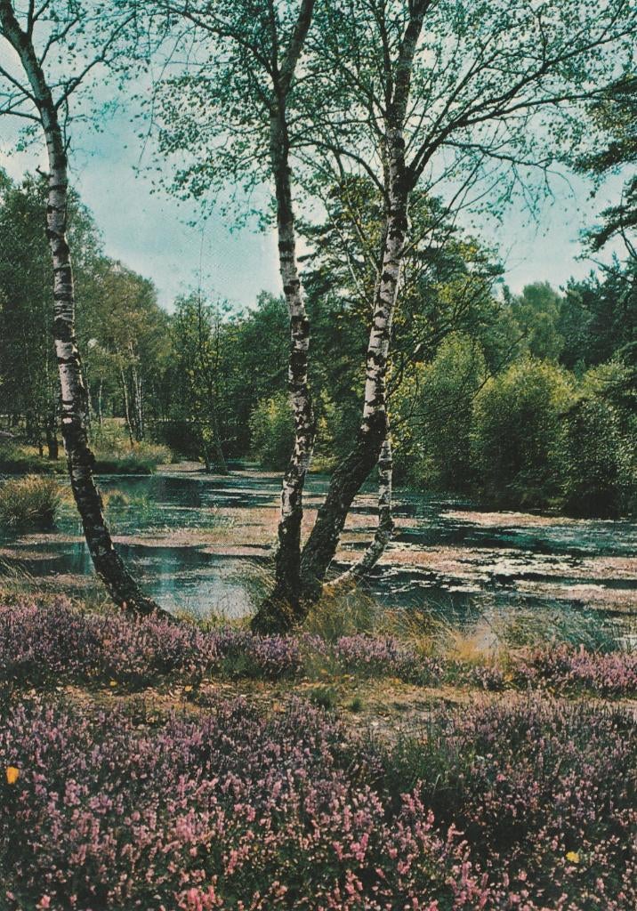 NEDERLAND Ven Heide, Verzenden, 1960 tot 1980, Gelopen, Zuid-Holland