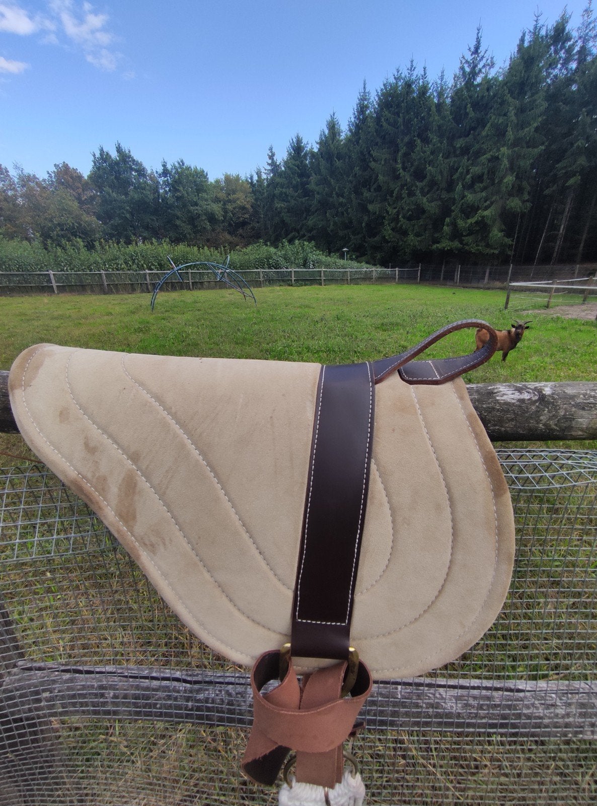Foto 2 van barebackpad + singel medisch vilt onder suede leer boven!