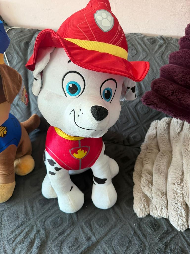 Grote Paw Patrol Knuffels: Chase en Marshall, Ophalen, Hond, Zo goed als nieuw, Middelgroot (20 tot 80 cm)