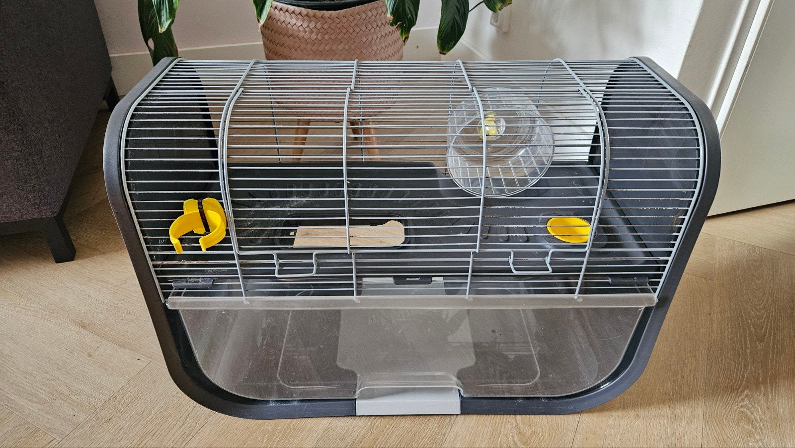 Mooie design hamsterkooi met veel toebehoren!, Kooi, Minder dan 75 cm, Zo goed als nieuw, Hamster