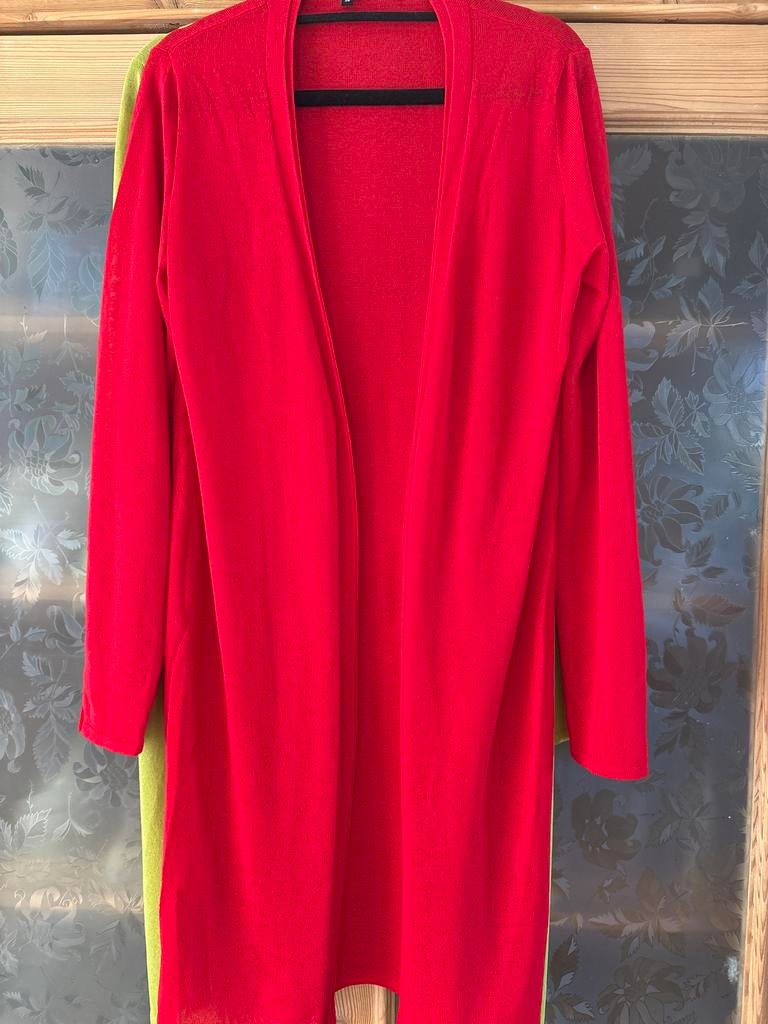 Norah Lang Vest Rood & Lime Groen - Maat 38, Kleding | Dames, Truien en Vesten, Ophalen of Verzenden, Gedragen, Maat 38/40 (M)