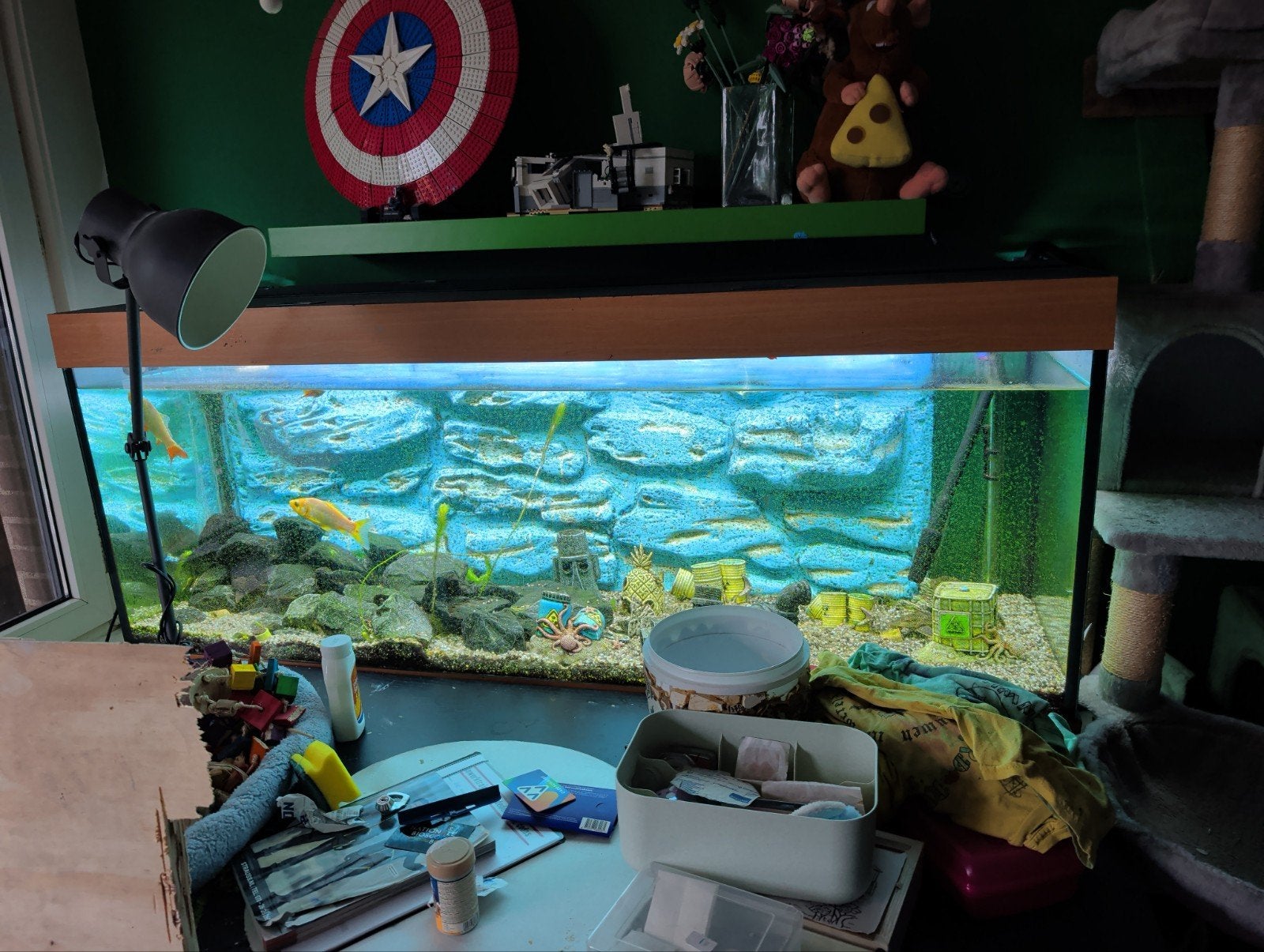 Aquarium gratis met vissen, Ophalen, Inclusief deksel, Gebruikt, Gevuld zoetwateraquarium