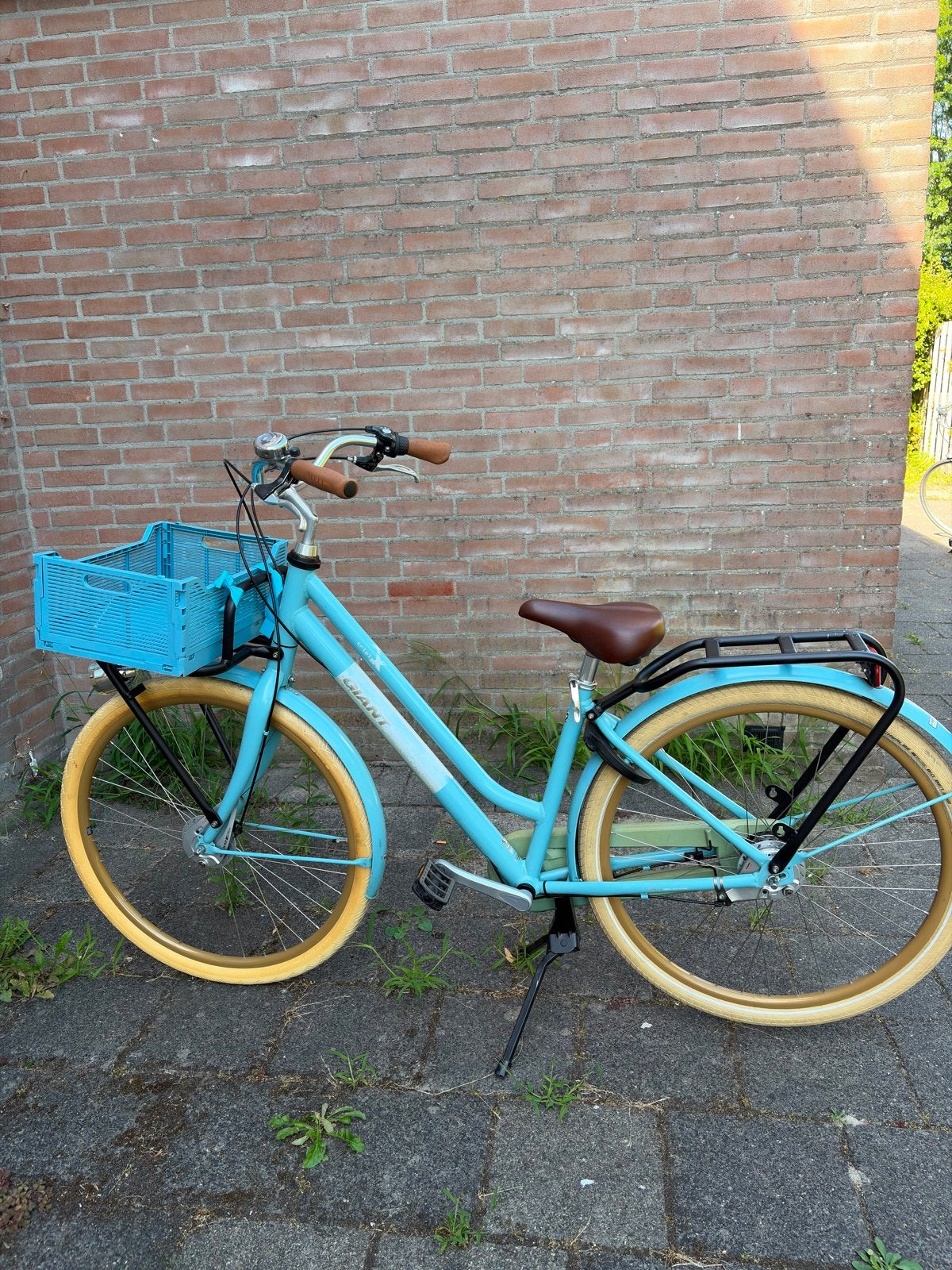 Giant Triple X Damesfiets - Lichtblauw met mand, Terugtraprem, Gebruikt, Versnellingen, 50 tot 53 cm