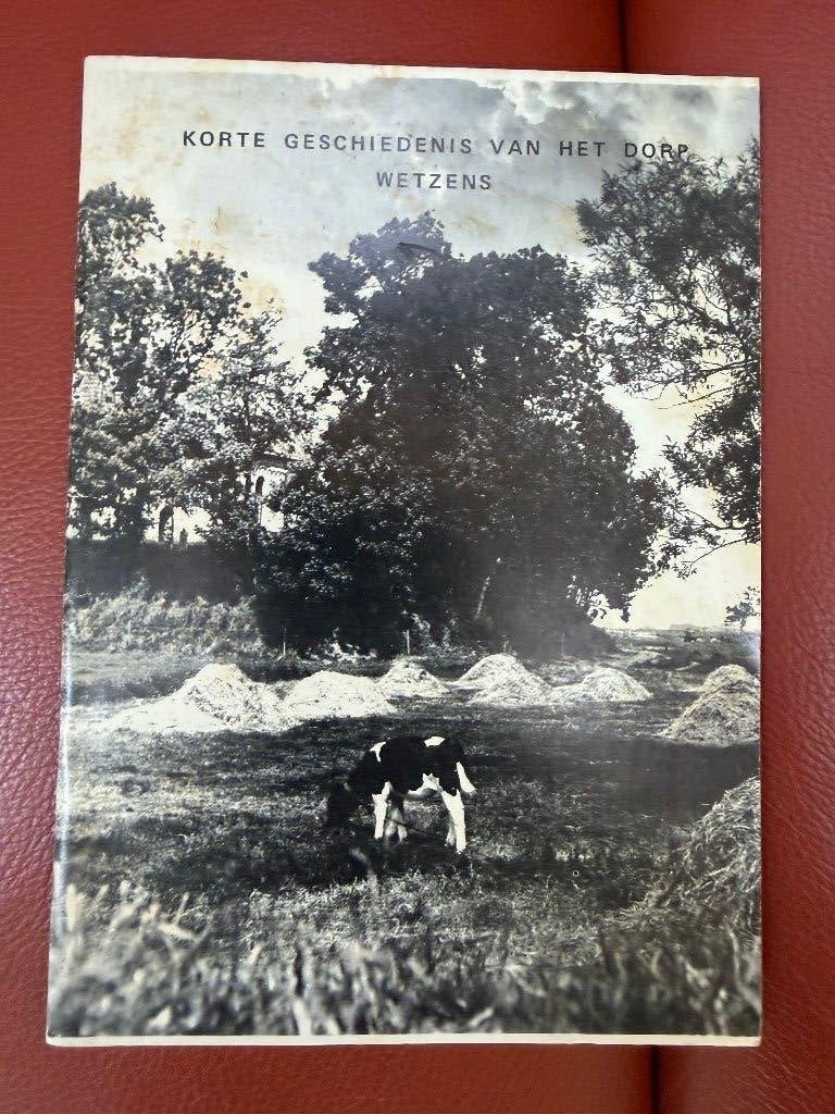 Korte geschiedenis van het Dorp Wetzens - Dokkum Metslawier, Boeken, Ophalen of Verzenden, 20e eeuw of later, Gelezen