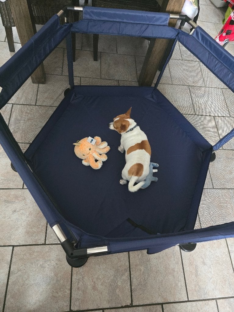 Honden play penn 5902802910813 #, Overige merken, Ophalen of Verzenden, Nieuw, Overige typen