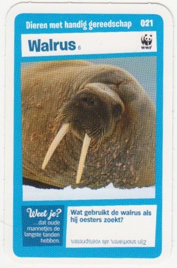 Super dieren no.21 Walrus [2687]  [VeOvSu], Albert Heijn, Ophalen of Verzenden